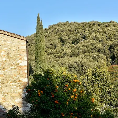 Il Temperino Guest house *